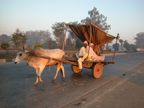Ox-cart, India