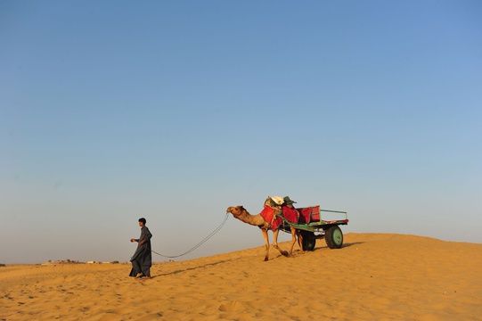 Camel cart, Thar Desert, Rajasthan, India