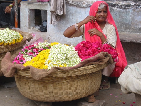 Flower seller, Pushkar, India