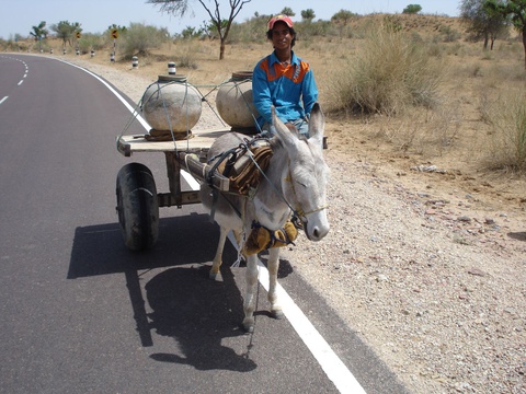 Donkey cart, Rajasthan, India